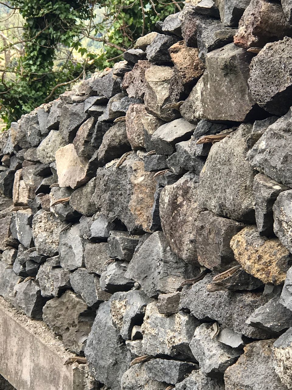 STONE WALL BY ROCKS AND STONES