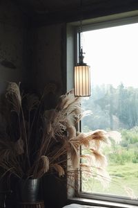 Rear view of man seen through glass window
