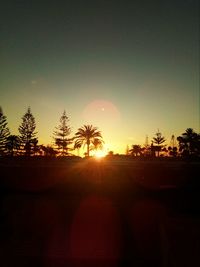 Silhouette of trees at sunset