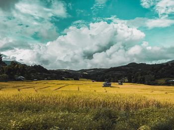 Scenic view of agricultural field against sky