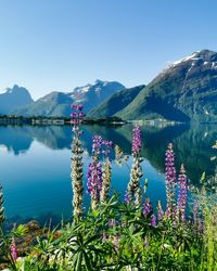 Scenic view of lake against blue sky