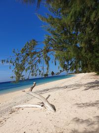 Scenic view of beach against clear blue sky