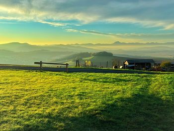 Scenic view of field against sky