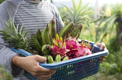 Midsection of man holding plant in basket