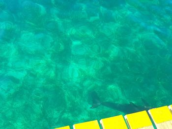 Full frame shot of swimming pool
