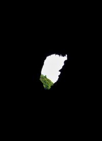 Close-up of silhouette against black background