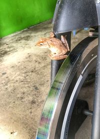 High angle view of a bicycle on metal