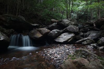 Stream flowing through rocks in forest