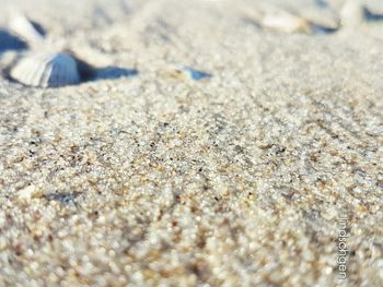 sand