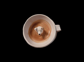 Directly above shot of coffee cup against black background