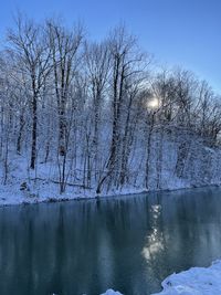 Bare trees by frozen lake against sky during winter