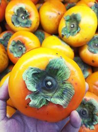 Cropped hand of person holding persimmon