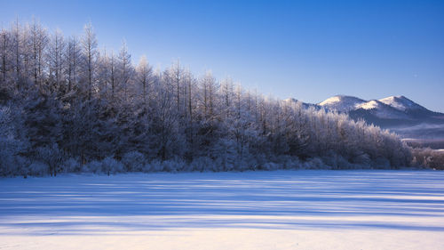 Snowy scenery of east hokkaido in winter