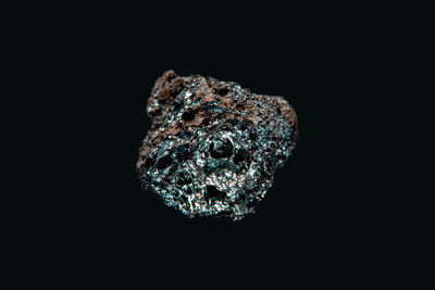 Close-up of lizard on rock against black background