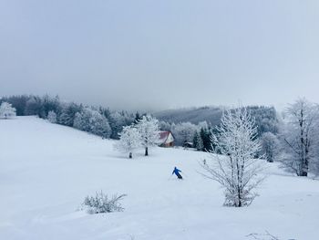 Skiers going down the slope surrounded by trees covered in snow