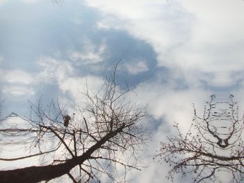 Low angle view of bare tree against cloudy sky