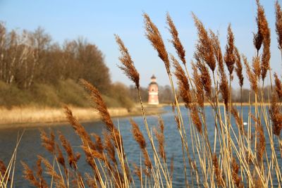 Lighthouse