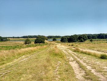 Scenic view of agricultural field against clear blue sky