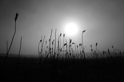 Scenic view of sea against sky at sunset