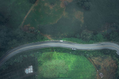 High angle view of road amidst trees