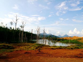 Landscape with mountain range in background