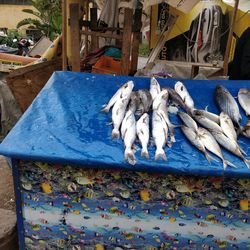 High angle view of fish for sale at market