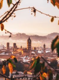 Buildings seen through plants in city during sunset