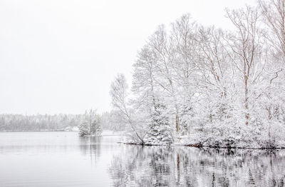 Scenic view of lake against clear sky during winter