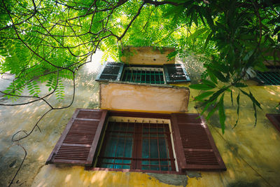 Low angle view of building