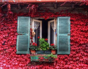Closed door of building