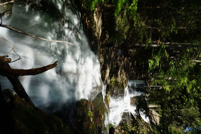 Waterfall in forest