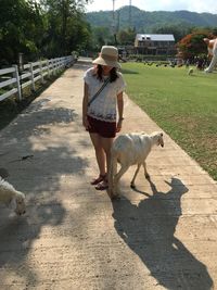 Rear view of woman walking with dog on street