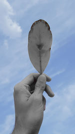 Low angle view of person holding leaf against sky