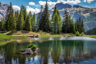 Scenic view of lake in forest