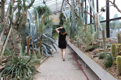 Rear view of woman standing by plants