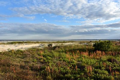 Scenic view of land against sky