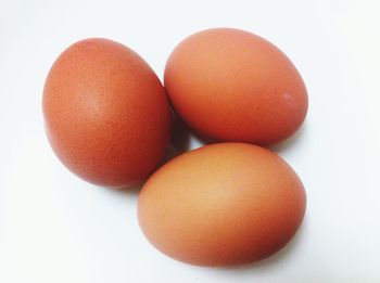 Close-up of eggs against white background