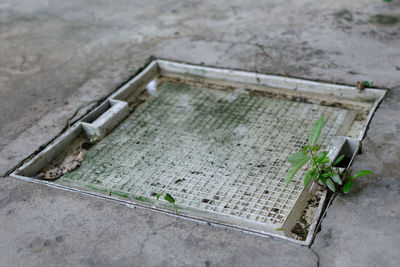 High angle view of food on field