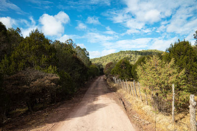 Dirt road along trees and plants against sky