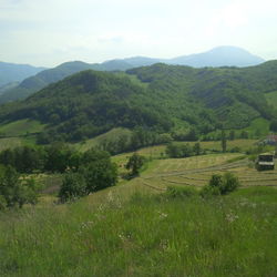 Scenic view of field and mountains against sky