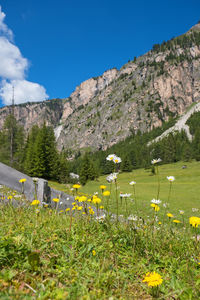 Scenic view of grassy field by mountains against sky