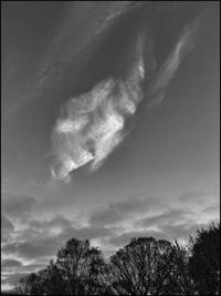 Low angle view of trees against sky