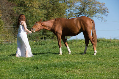 Side view of young woman with horse standing on grassy field against trees during sunny day