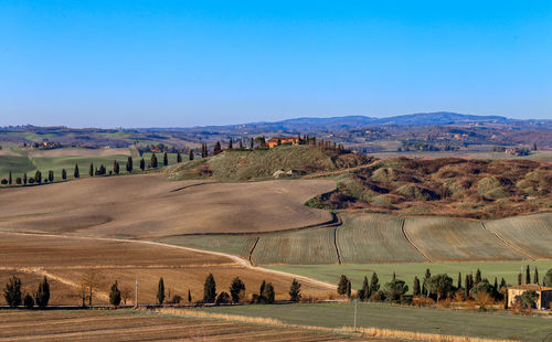 Scenic view of field against clear blue sky