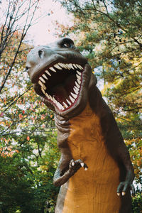 Low angle view of giraffe on tree