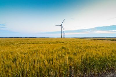 Windmills on field against sky