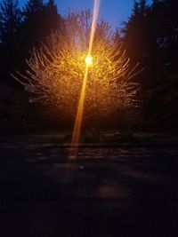 Firework display against sky at night