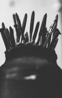 Close-up of floral pattern