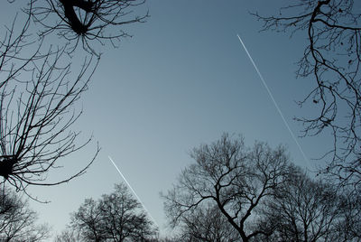 Low angle view of bare trees against sky