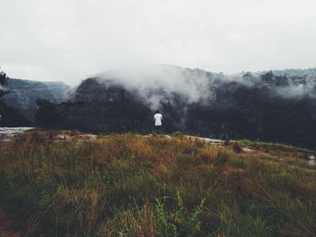 Scenic view of grassy field in foggy weather